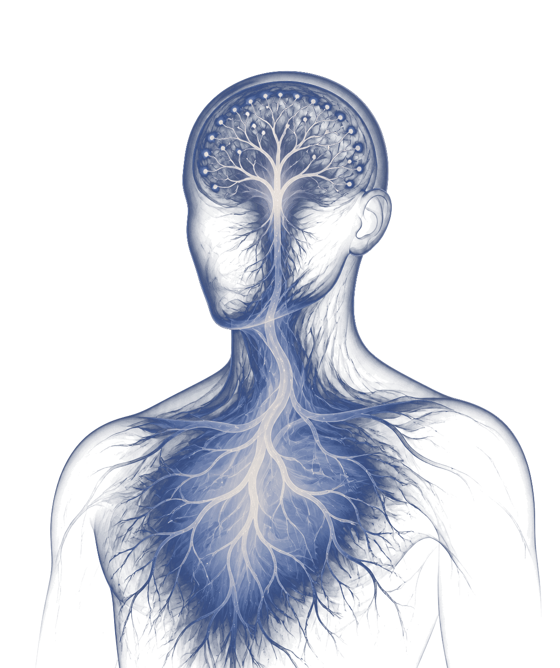 A human figure illuminated from within, with the Transform Insideout tree growing through the mind and body